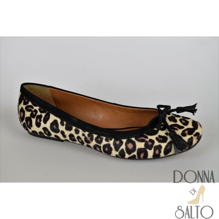 Sapatilha